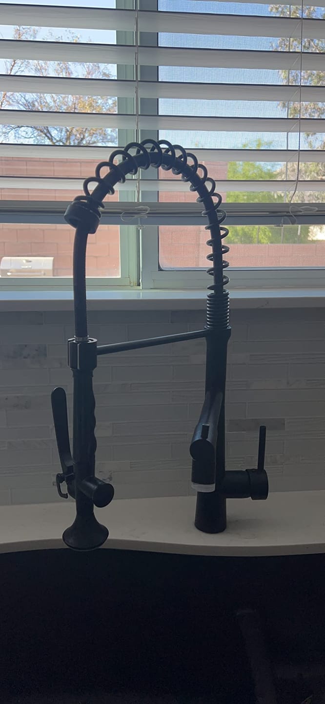 Customer photo review of Skagerrak - Commercial-Style Pull-Down Kitchen Sink Faucet with LED Cone-Shaped Sprayer
