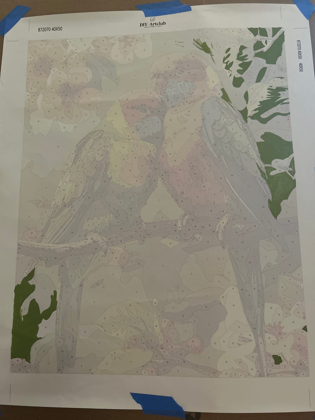Customer photo review of 2 Colorful Birds | Paint by Numbers