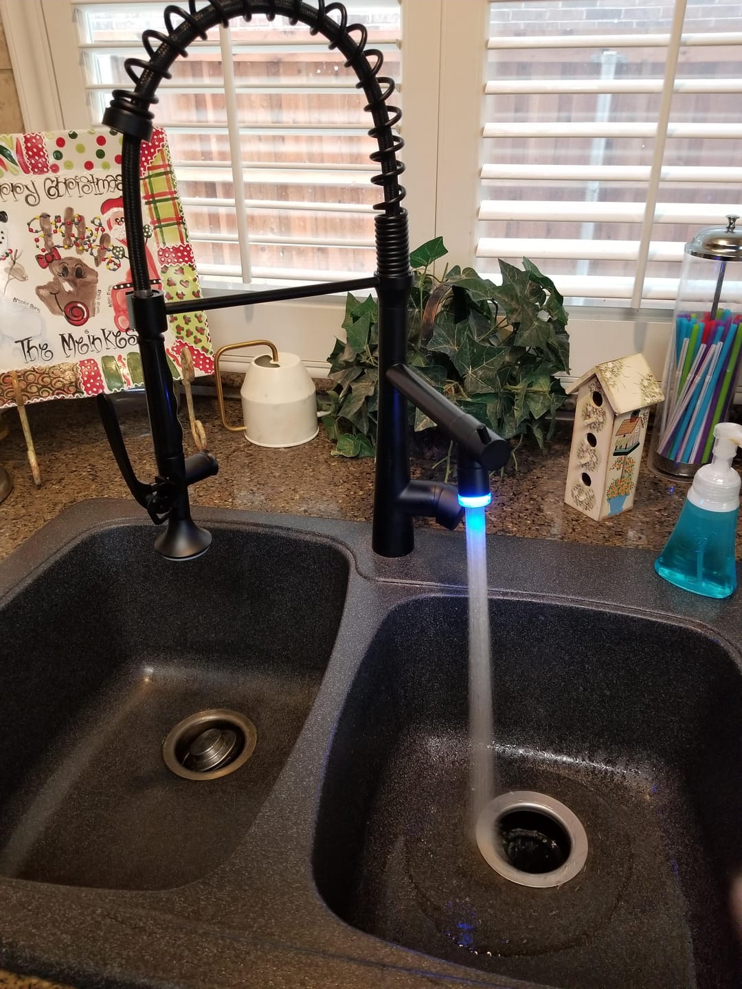 Customer photo review of Skagerrak - Commercial-Style Pull-Down Kitchen Sink Faucet with LED Cone-Shaped Sprayer