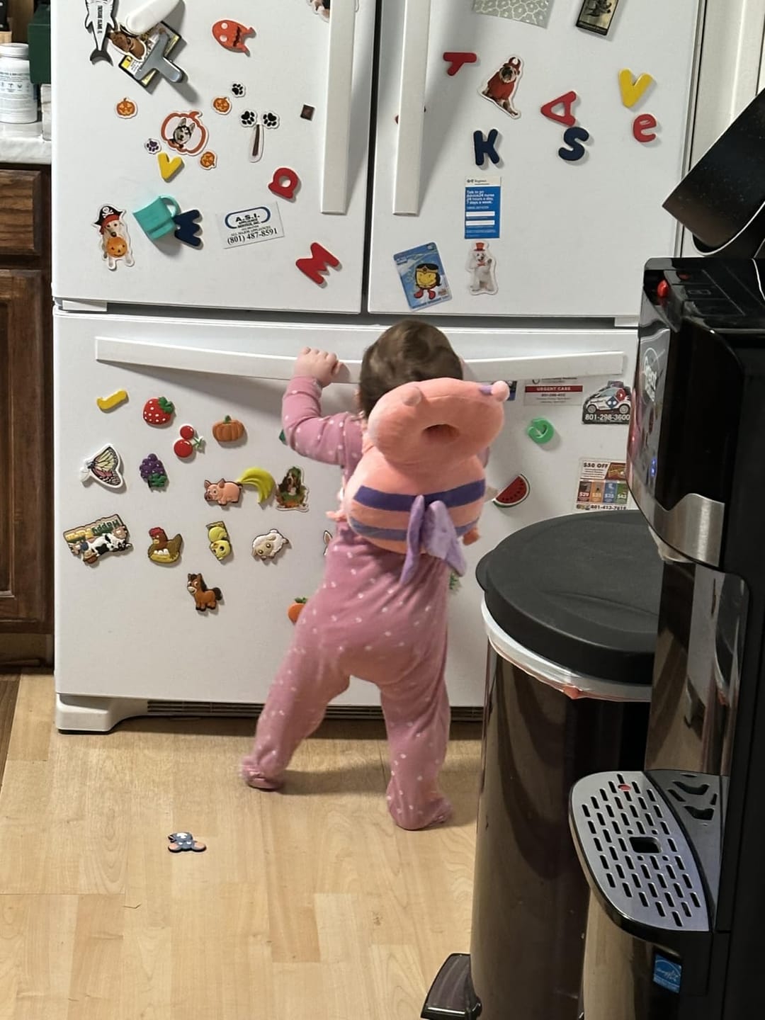 Customer photo review of Baby Head Protector Backpack