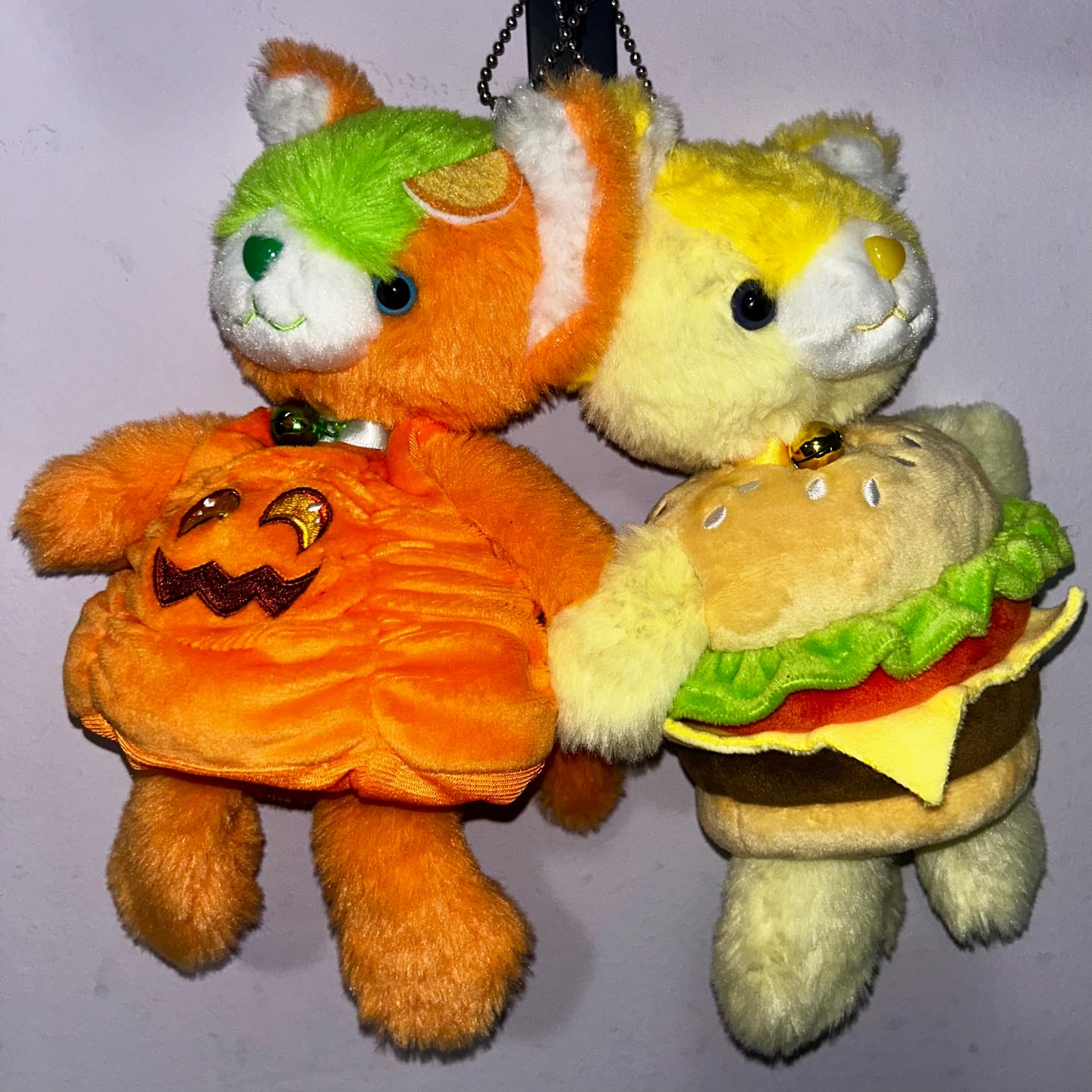 Customer photo review of Burger Costume For Noopy2 10" Plush