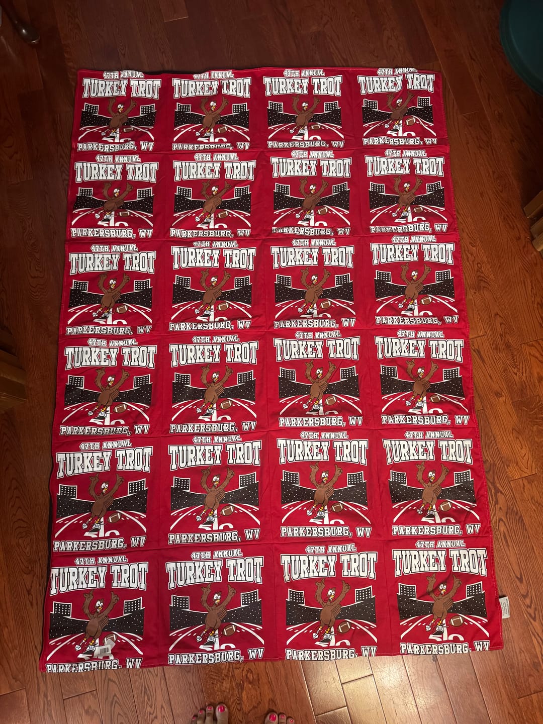 Customer photo review of Project Repat T-Shirt Quilt