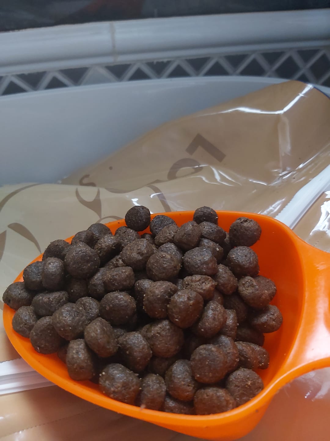 Customer photo review of Grain Free Cordero