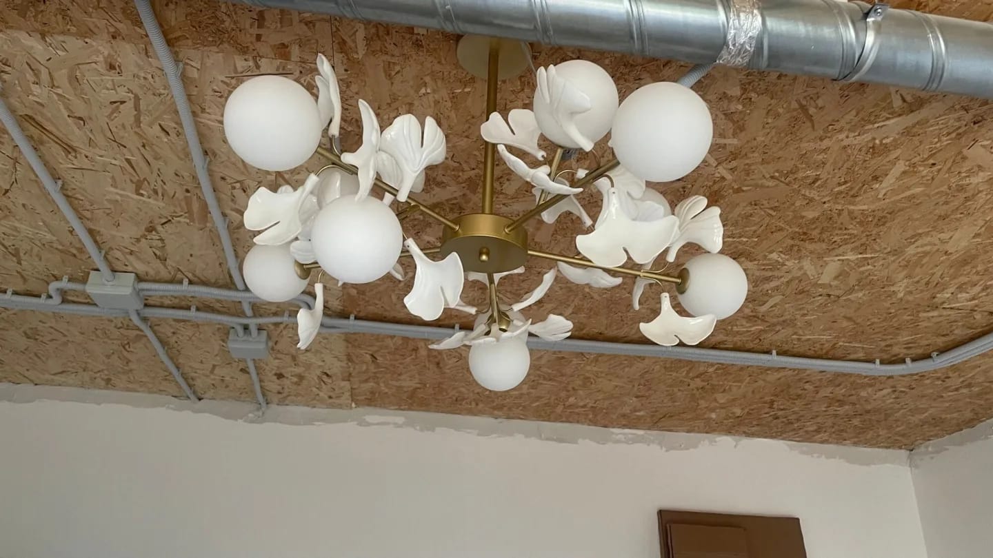 Customer photo review of Brass Chandelier with Glass Shades, Acrylic Discs, Iron Frame
