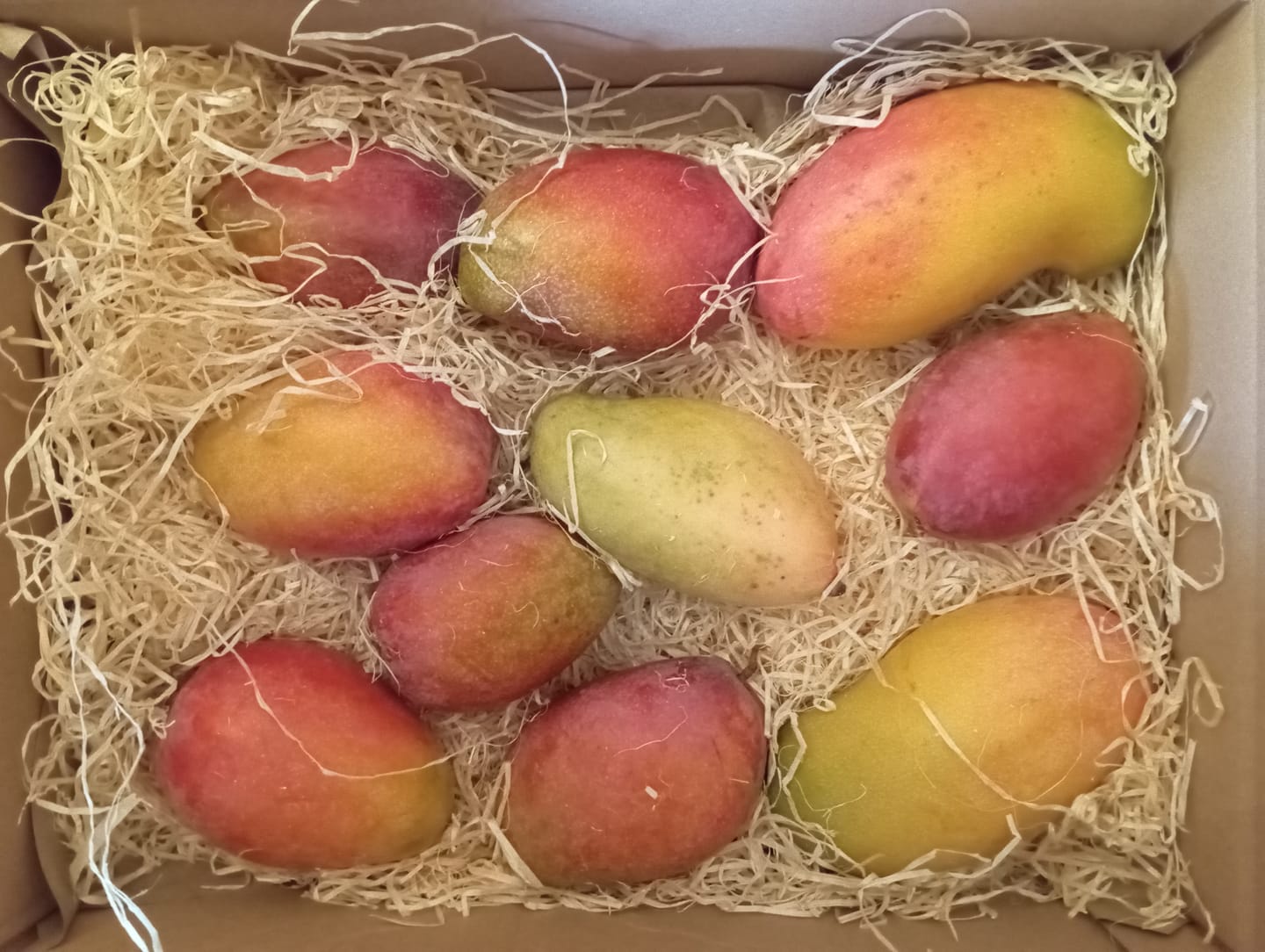 Customer photo review of Mango Irwin Edelsorte Bio von Julian Aktionswoche %