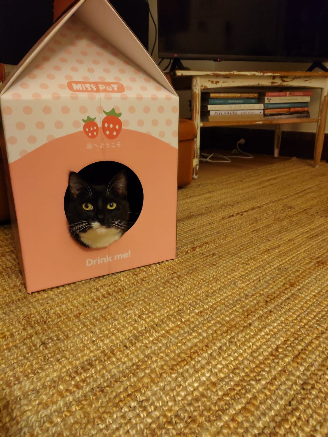 Customer photo review of Misspet Milk Box | Cat Scratcher and Nest