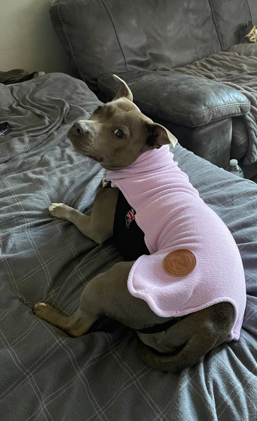 Customer photo review of Staffordshire Bull Terrier 1935® Fleece Coat - Baby Lilac