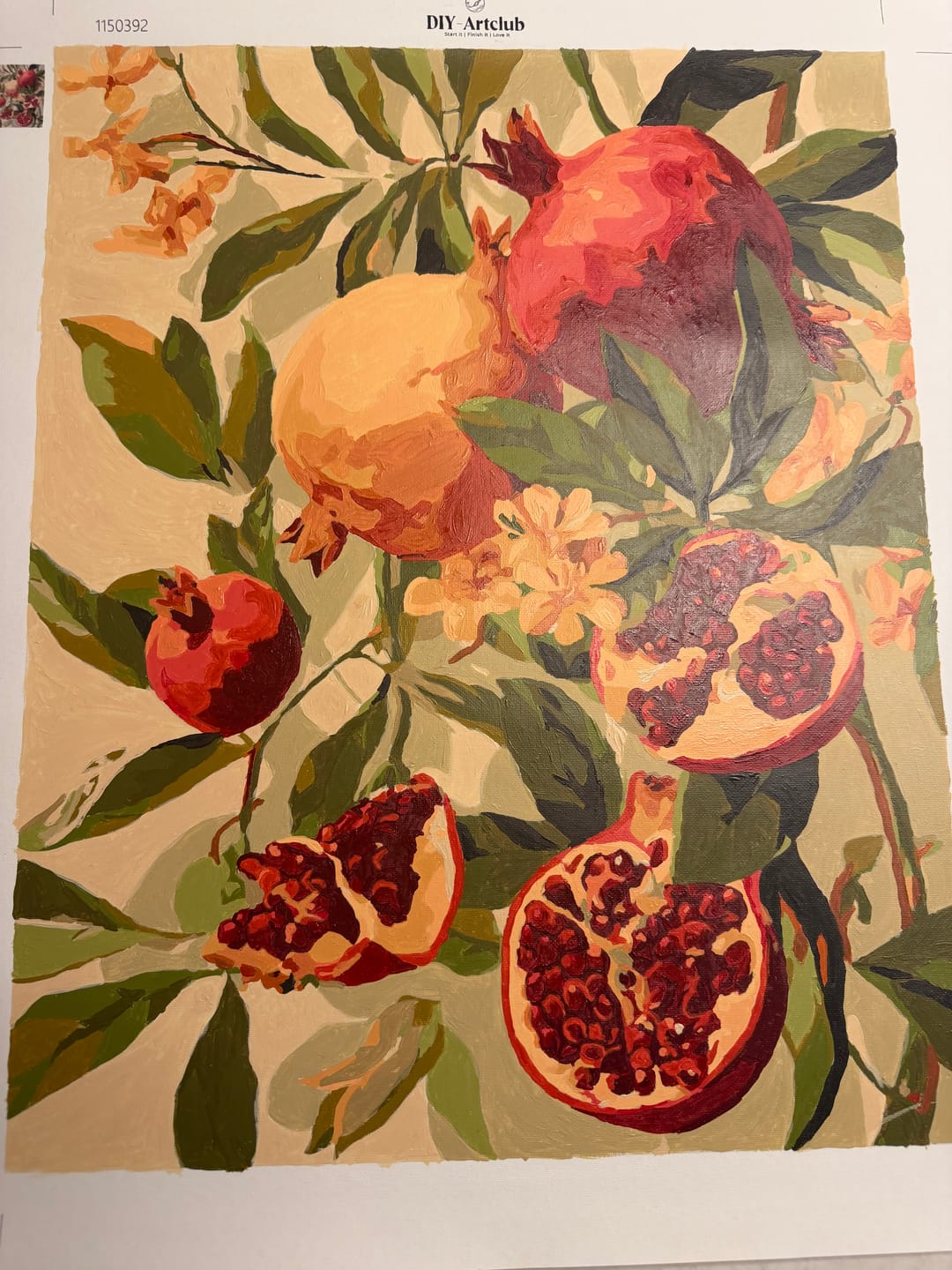 Customer photo review of Blooming pomegranates | Paint by Number