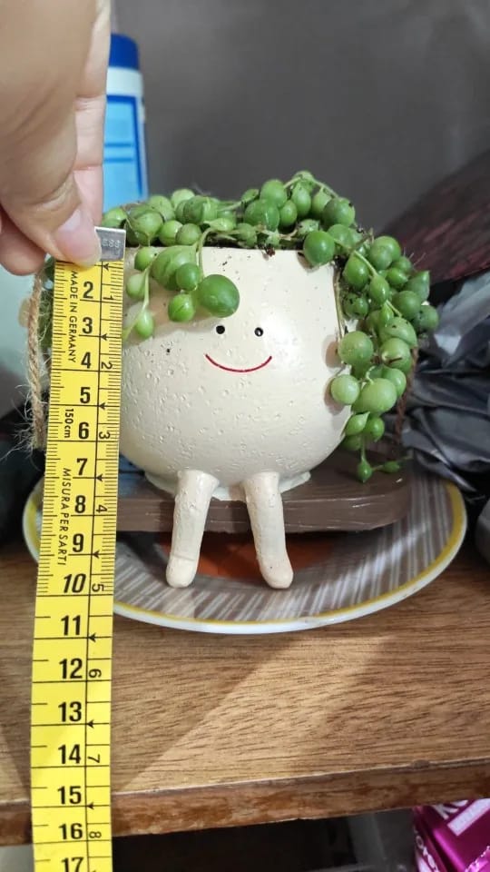 Customer photo review of Cozymere Swing Face Planter