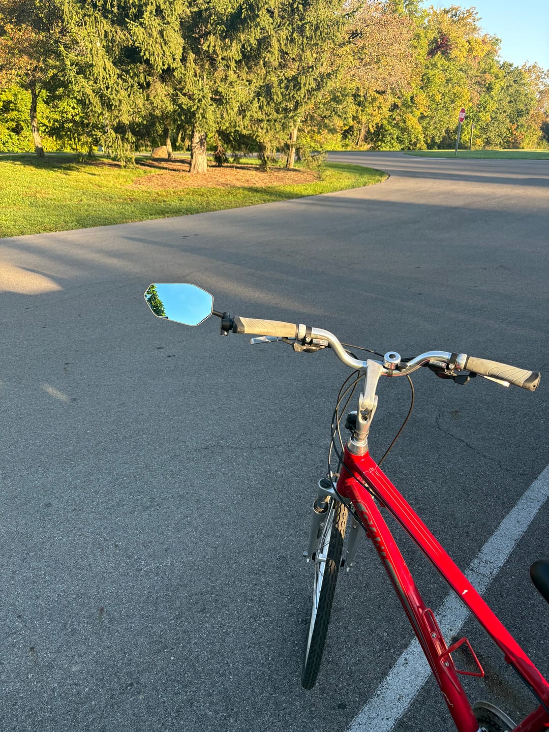 Customer photo review of Anti-Glare Bar End Bike Mirror - Left