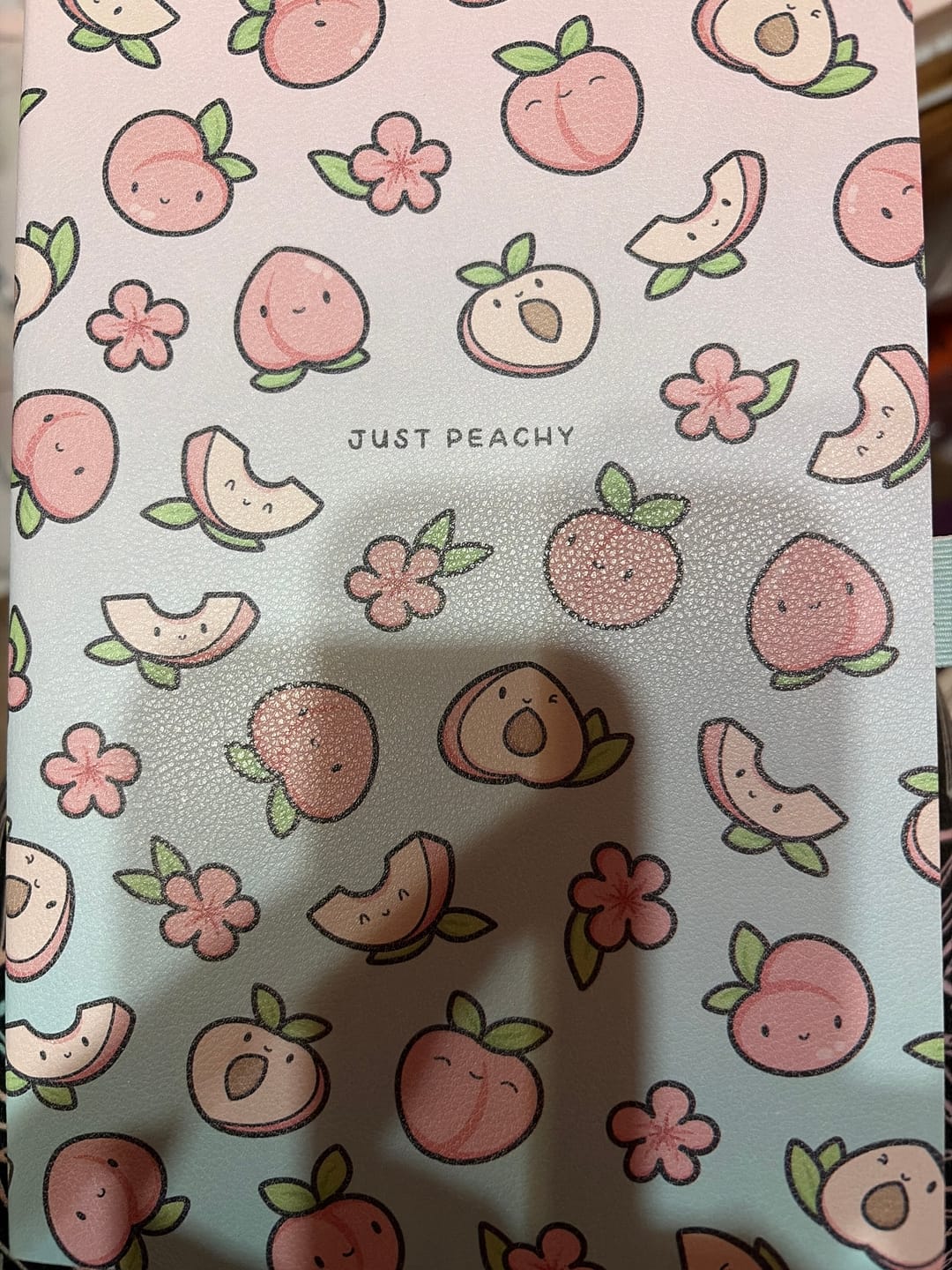 Customer photo review of Just Peachy TRP 3-Month Daily Planner