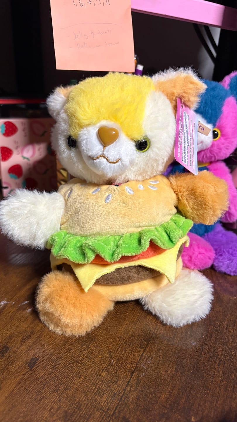 Customer photo review of Burger Costume For Noopy2 Plush
