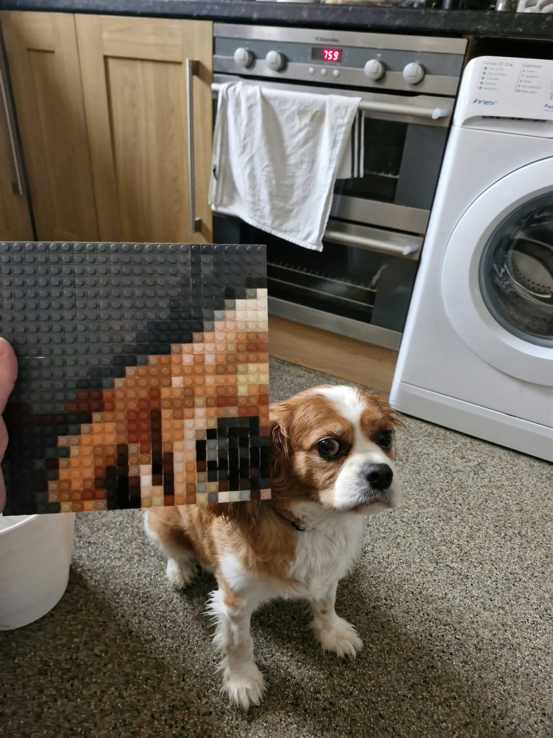 Customer photo review of Custom Design Brick Mosaic - 3x3 baseplates
