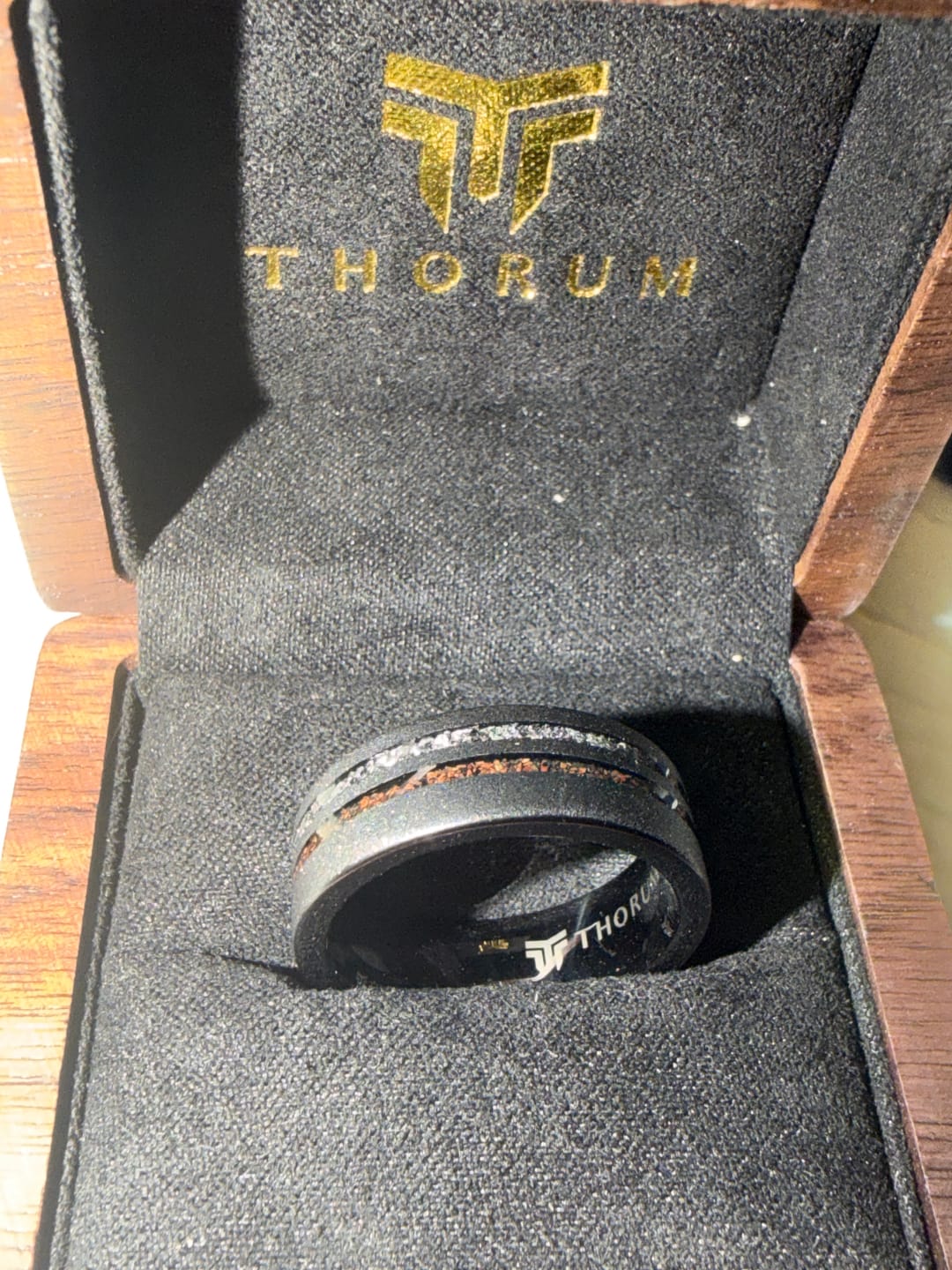 Customer photo review of The Meteorsaur