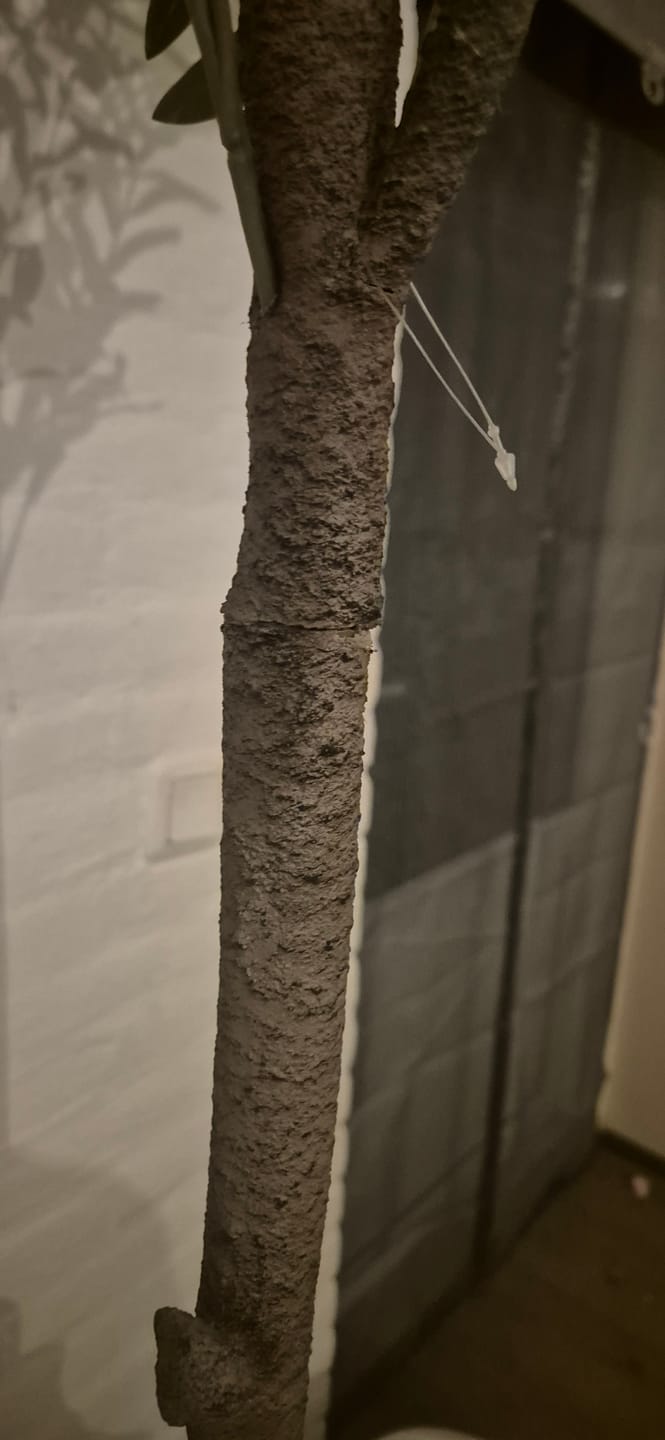Customer photo review of Kunst Olijfboom 150cm