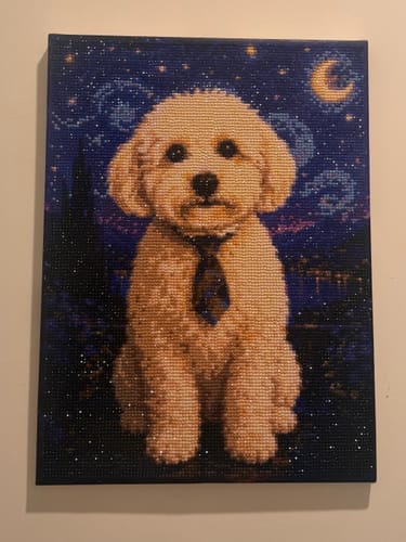 Customer photo review of Custom Diamond Painting