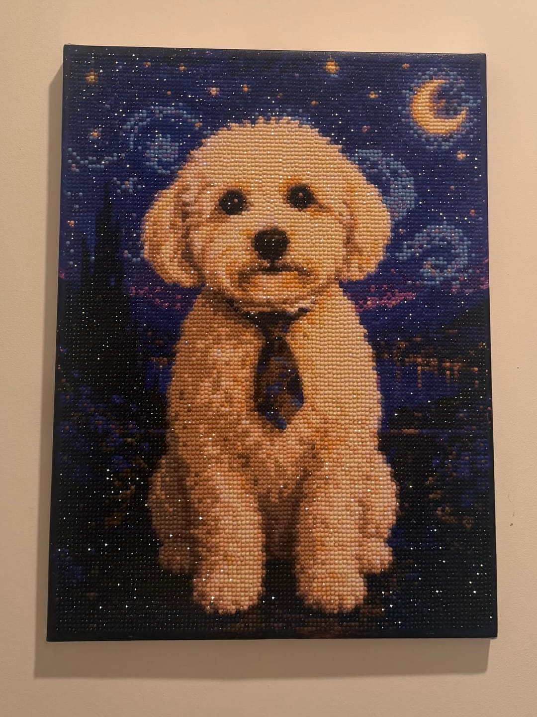 Customer photo review of Custom Diamond Painting