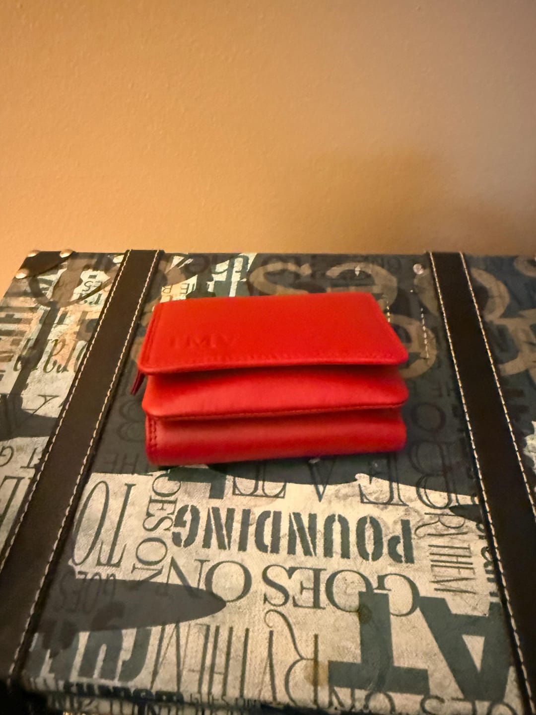 Customer photo review of Soft Leather Purse – Giorgia Verona