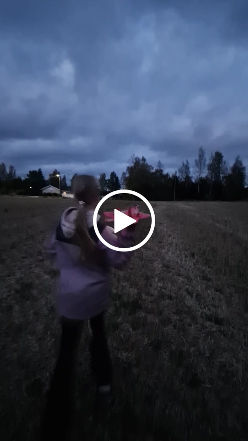 Customer video review of F-22 Spartacus RC Fighter Jet