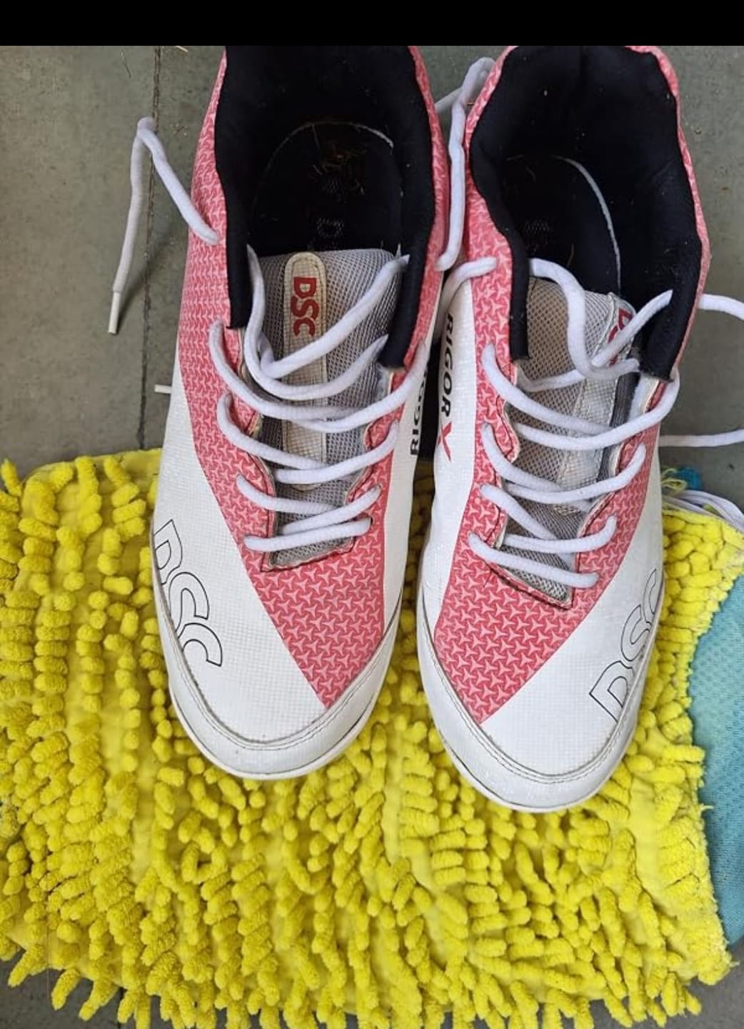 Customer photo review of Shoe Washing Machine Bag for Sneakers & Delicates