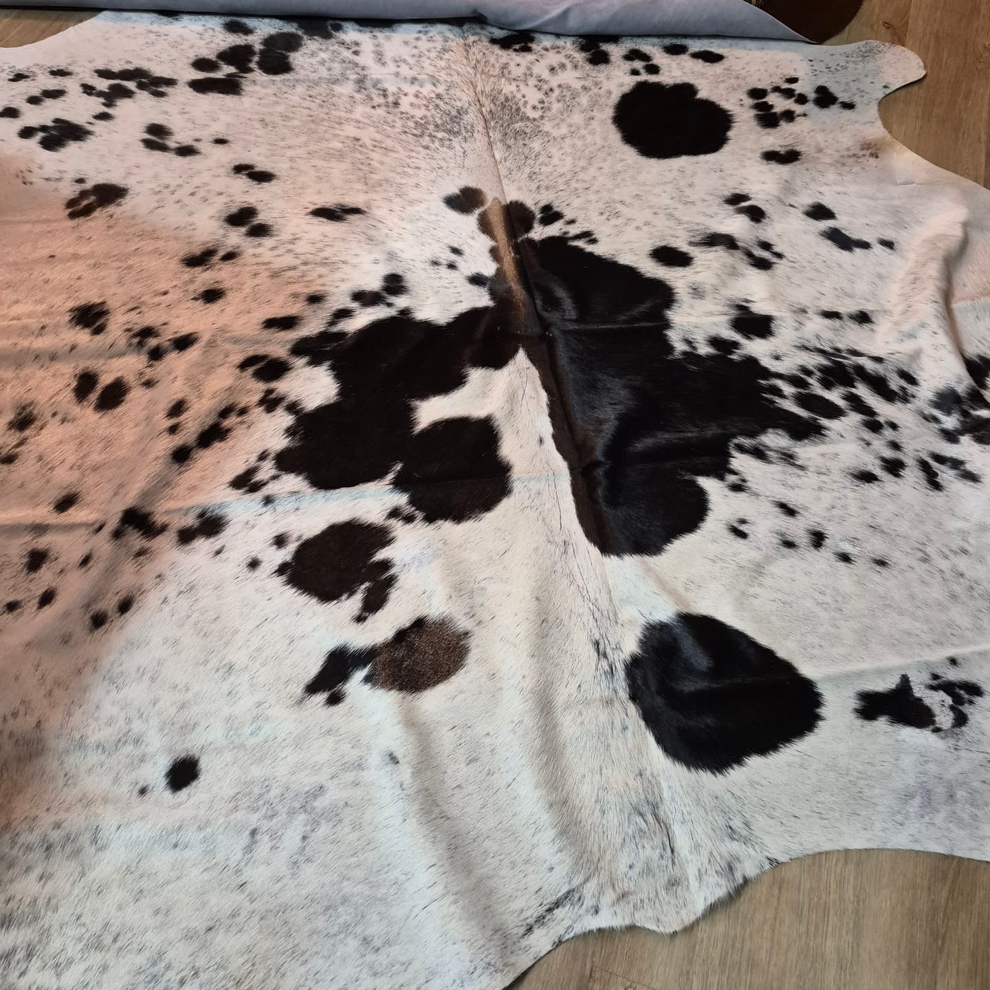 Customer photo review of SUPER SALE Black Salt & Pepper Natural Cowhide Rug - X-Large 7' 4"H x 6' 5"W