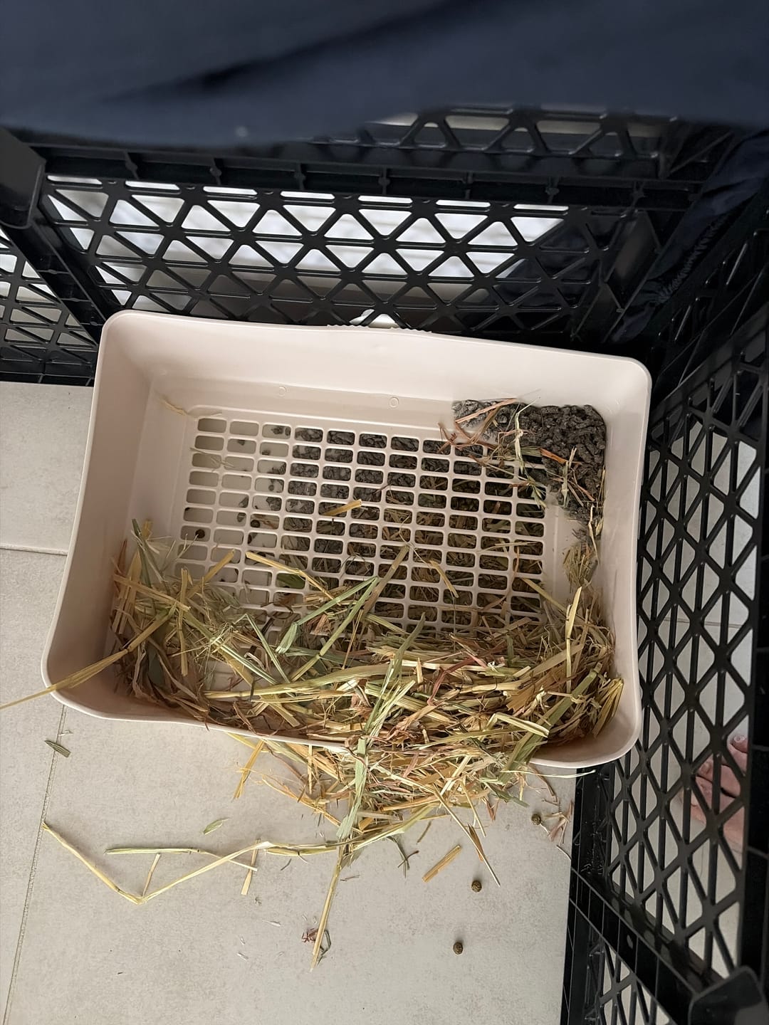 Customer photo review of Rabbit Litter Tray Drawer Box Easy-Clean Secure for Indoor Cage Use Brown