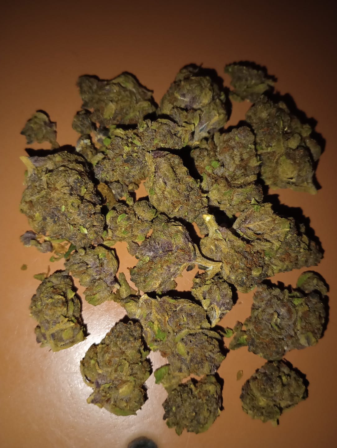 Customer photo review of Tropicana Cherry THCA Flower