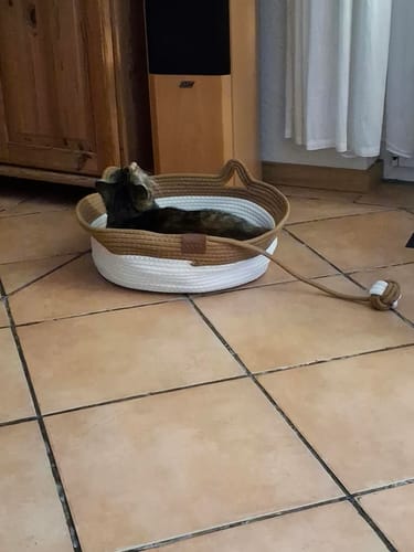 Customer's Fellnest Katzenkorb mit zwei Farben aus geflochtenem Seil, in dem eine Katze auf Fliesenboden liegt.