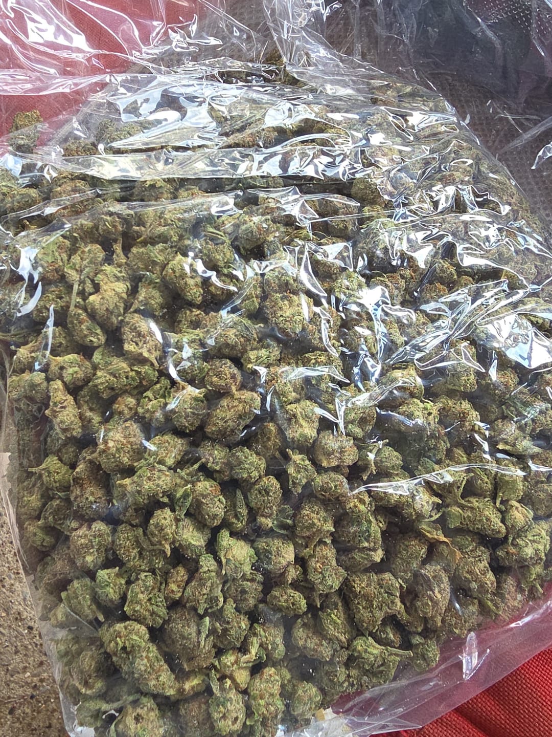 Customer photo review of Blue Punch Minis - Bulk Minis - Indica