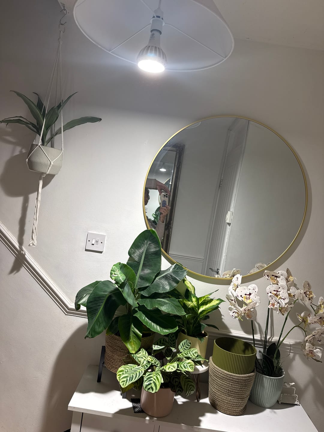 Customer photo review of Pianta Grow Light LED Bulb