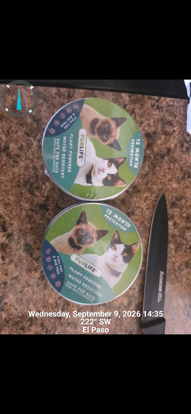 Customer photo review of FurLife™ - 12 Months All Natural Flea and Tick Tags for Cats