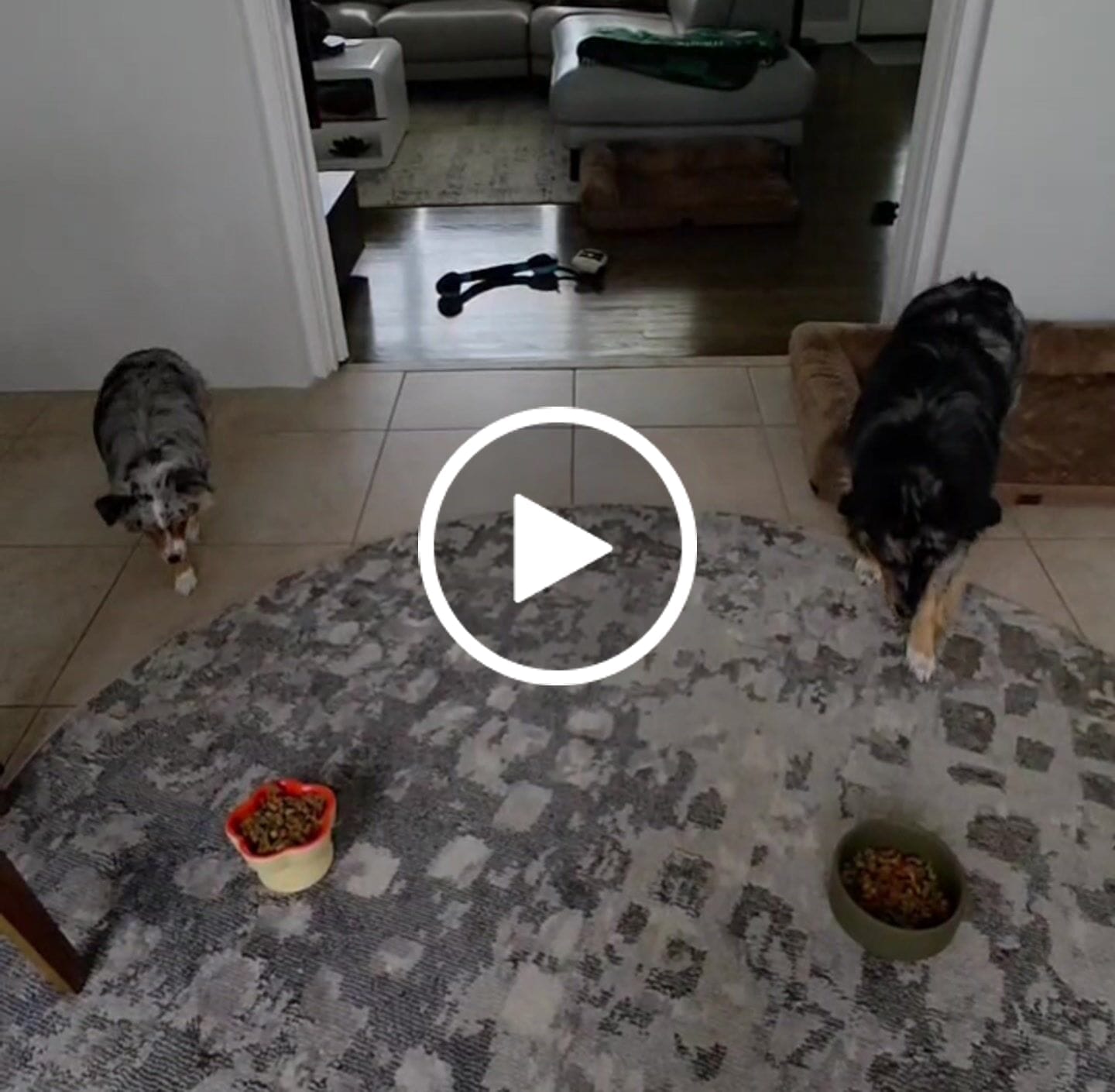 Customer video review of Vitality Grain Free Base Mix