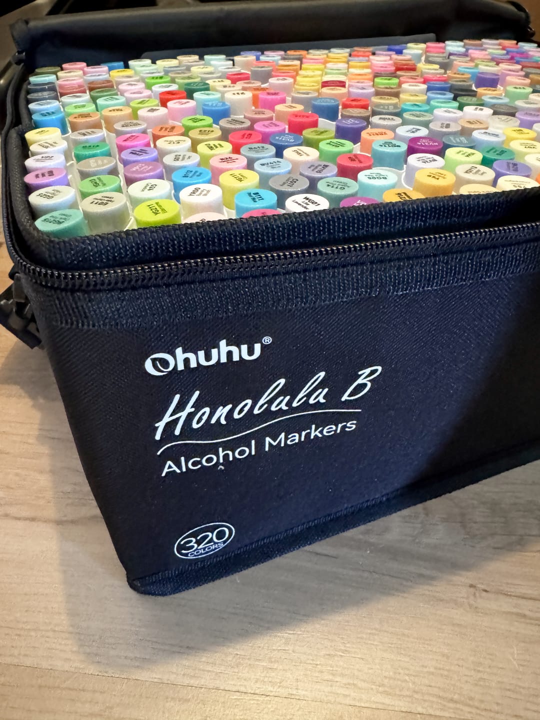 Customer photo review of Ohuhu Honolulu 320 Colors Dual Tips Alcohol Art Markers (New Color Codes)