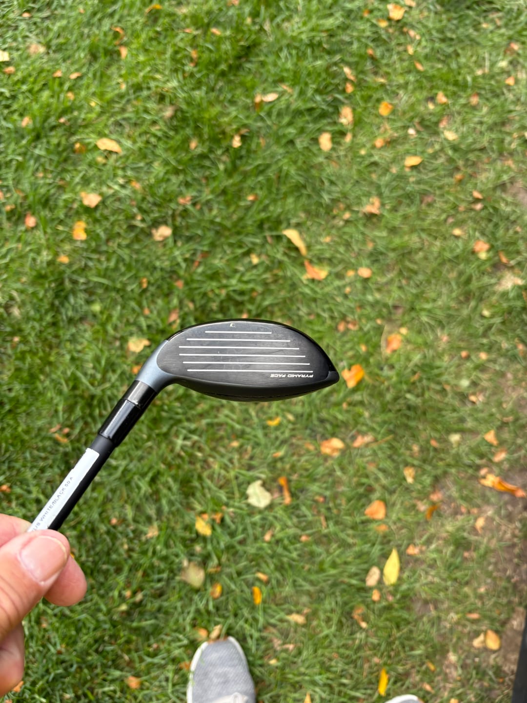 Customer photo review of Exotics Max Hybrid