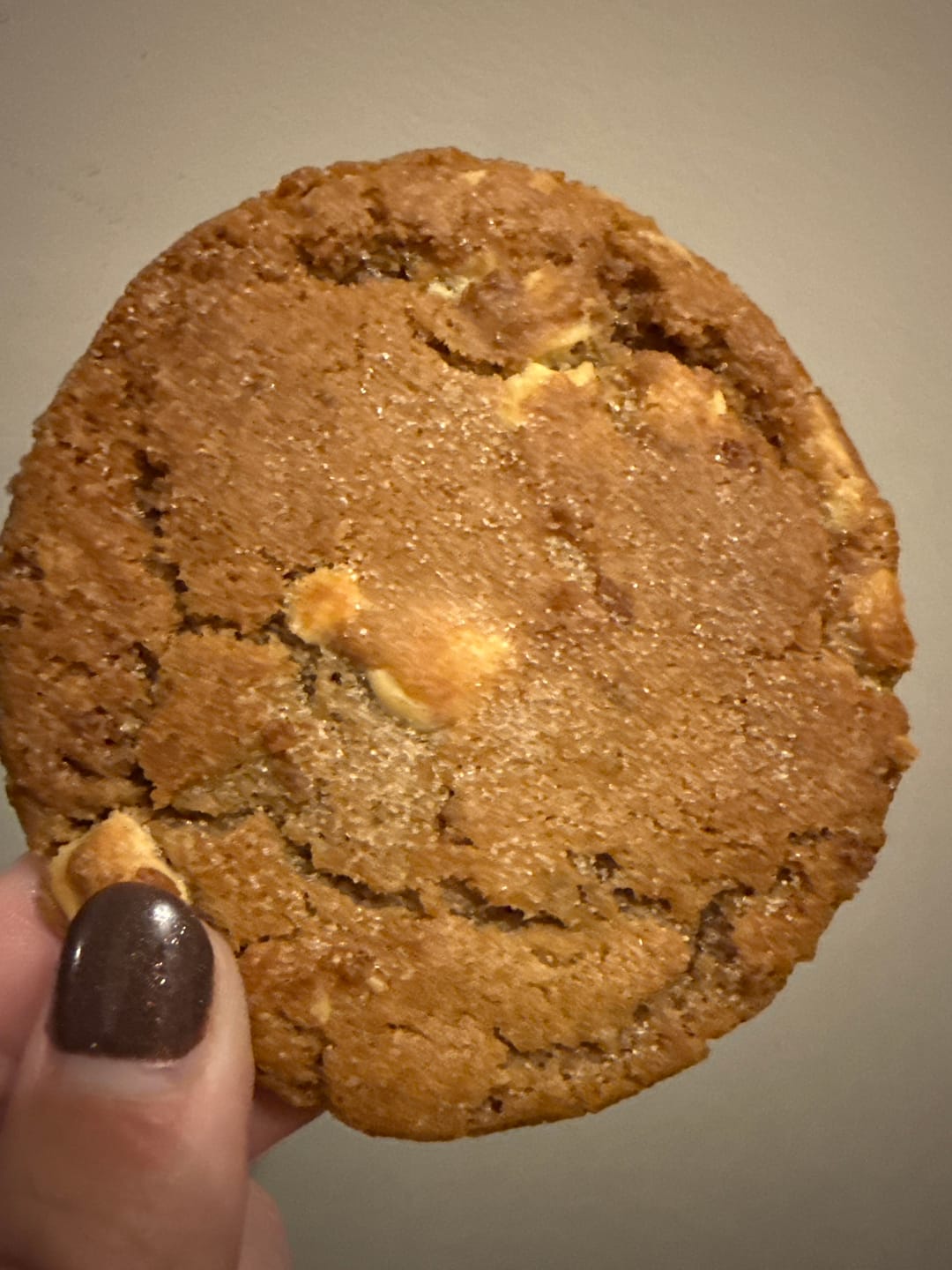 Customer photo review of Snickerdoodle Cookies