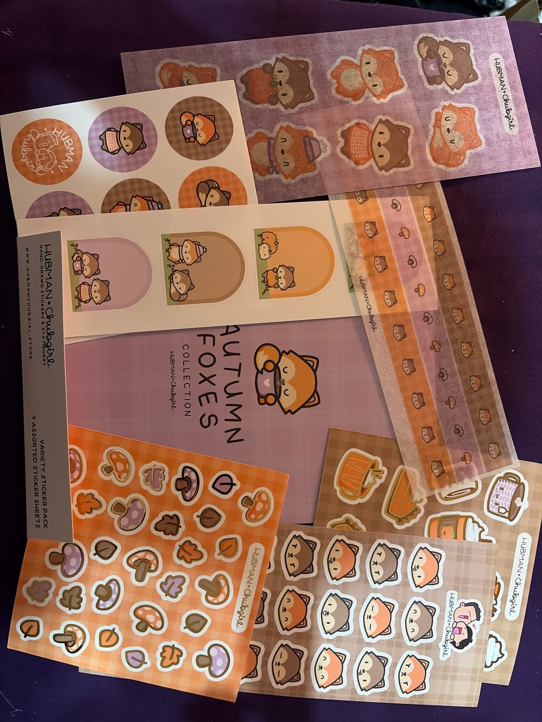Customer photo review of (Pre-order) Autumn Foxes Variety Sticker Pack