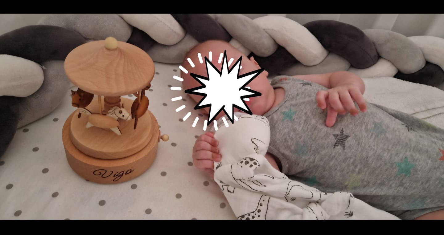 Customer photo review of Heirloom Wooden Musical Carousel - Horses