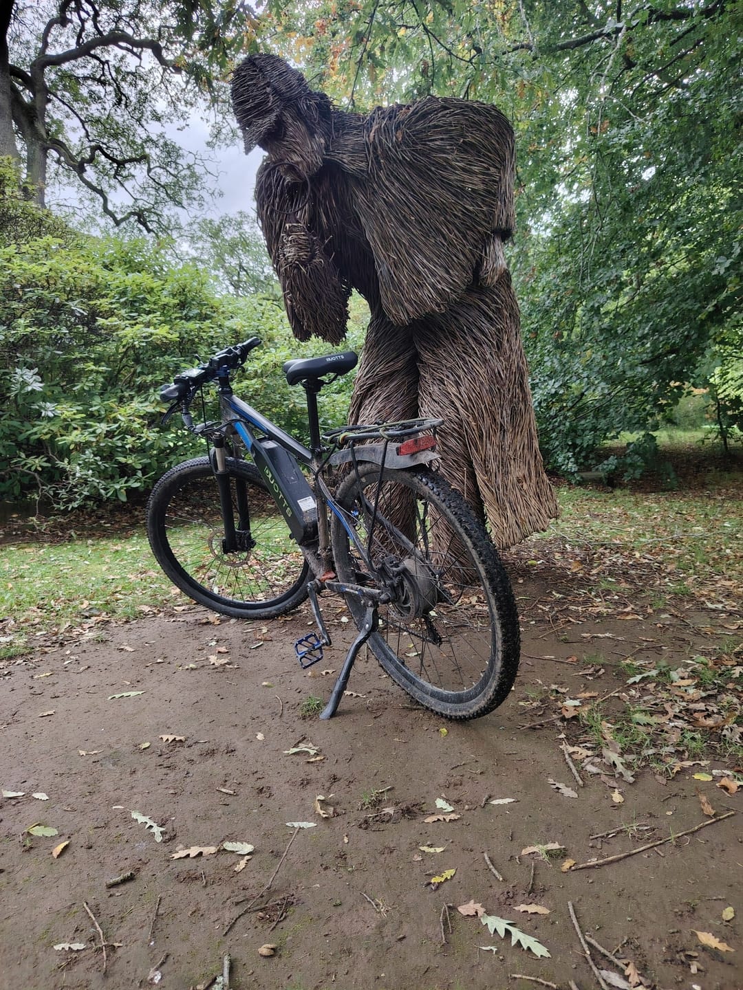 Customer photo review of DUOTTS C29L Electric Bike Ship to UK