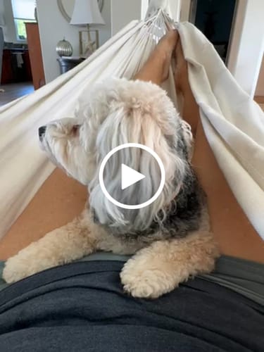 Customer video review of The Go Hammock (Pre-sale)