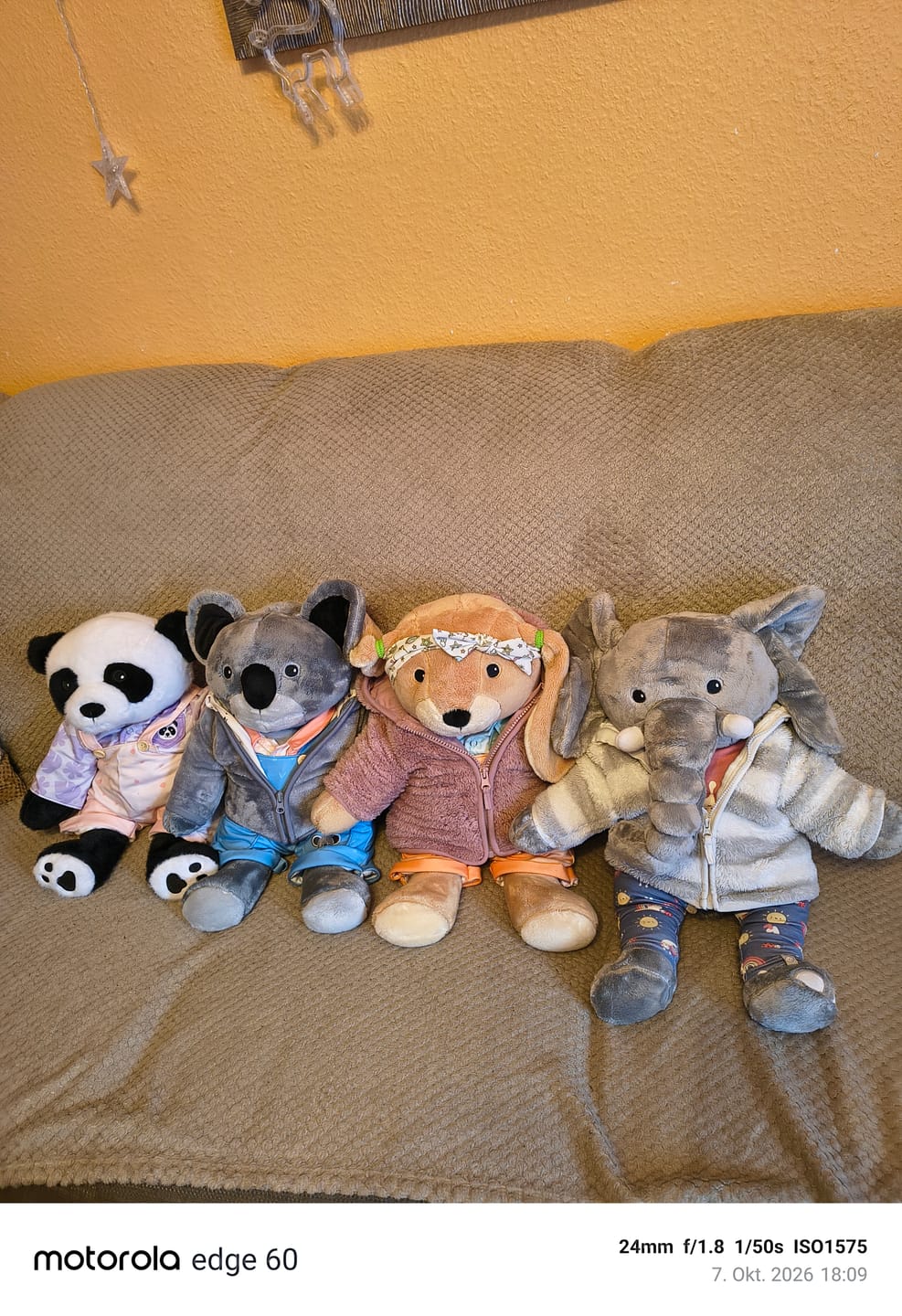 Customer photo review of Lotgenootje Olifant 2kg