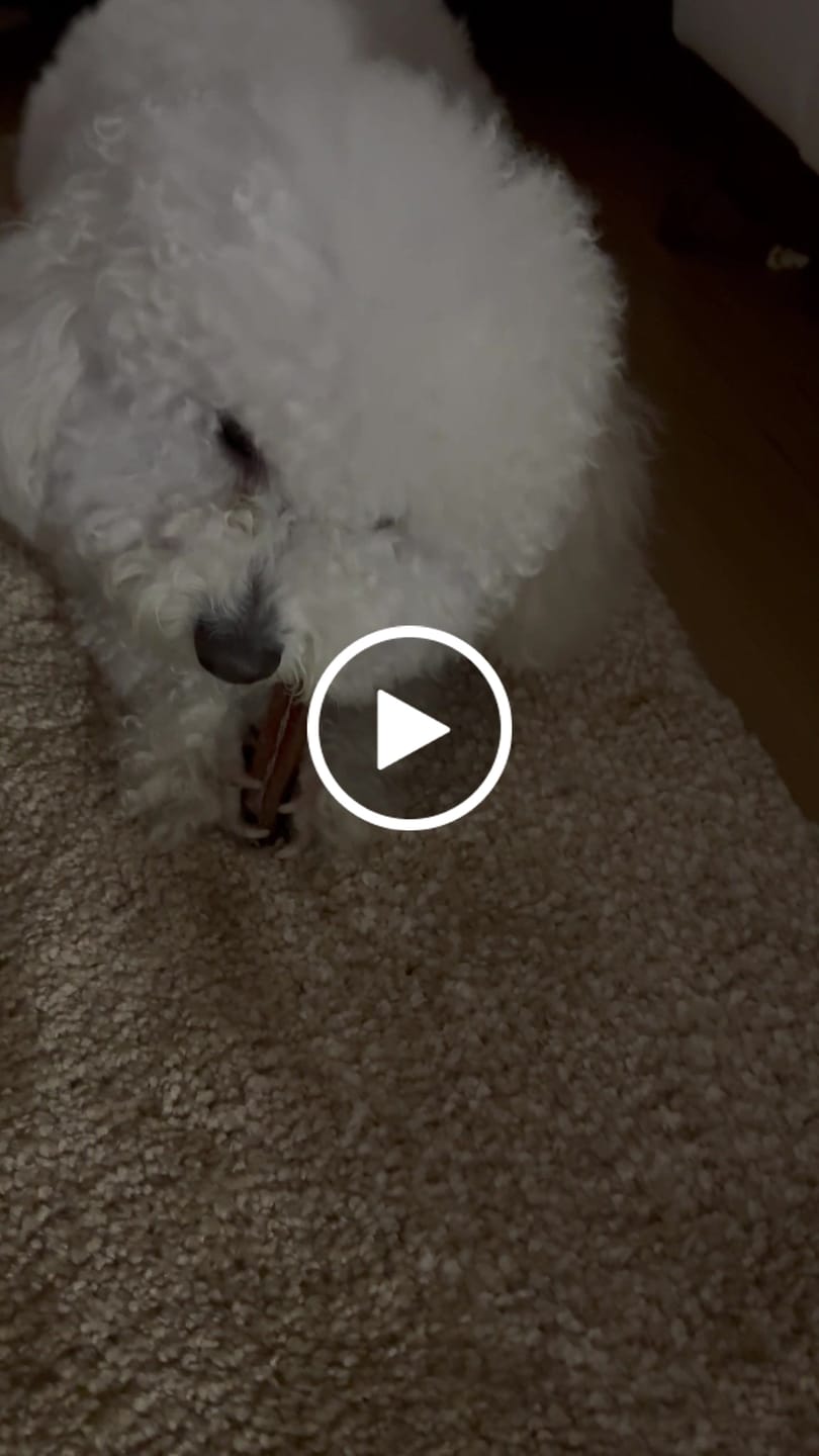Customer video review of 6 Inch Beef Jerky Stick