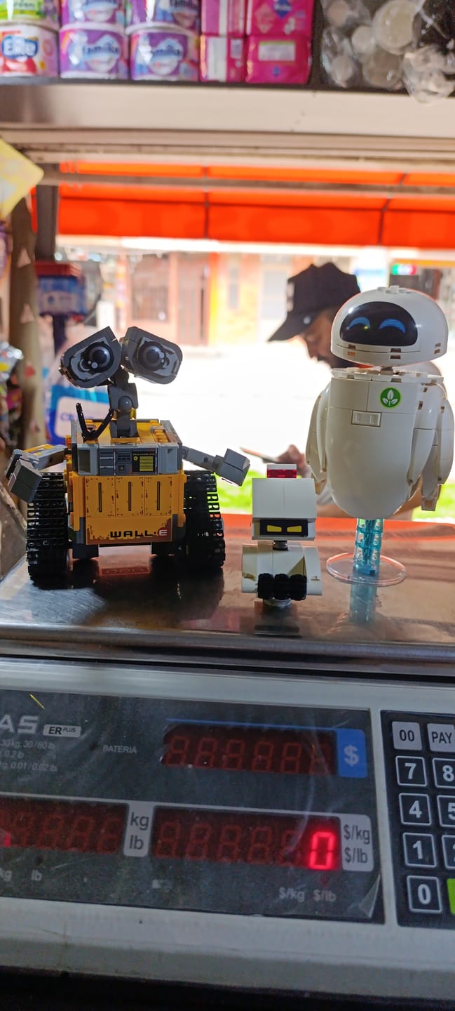 Customer photo review of WALL-E Y EVE