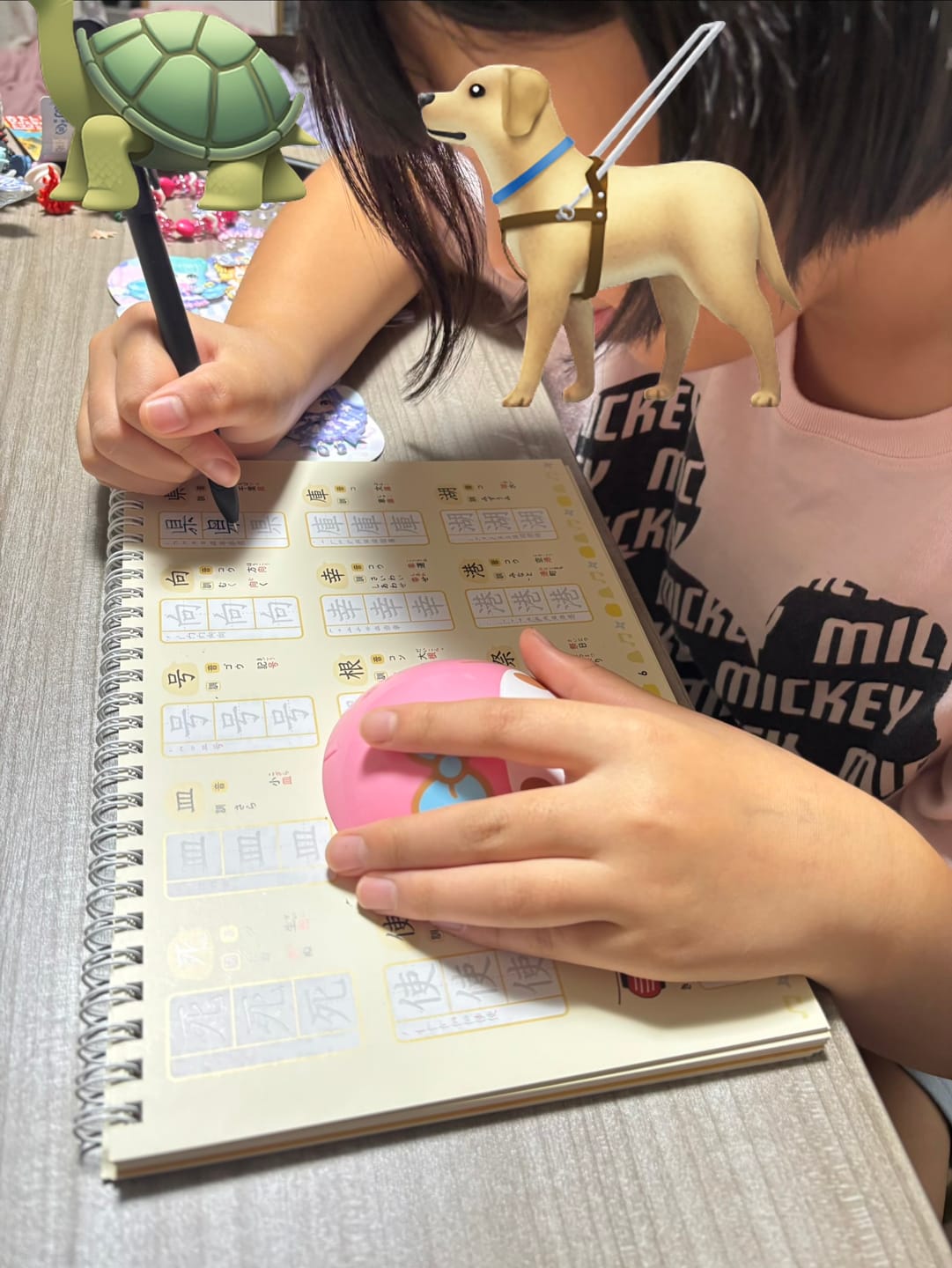 Customer photo review of 文字が消える!? まほうのドリル 漢字（１年生・２年生・３年生）