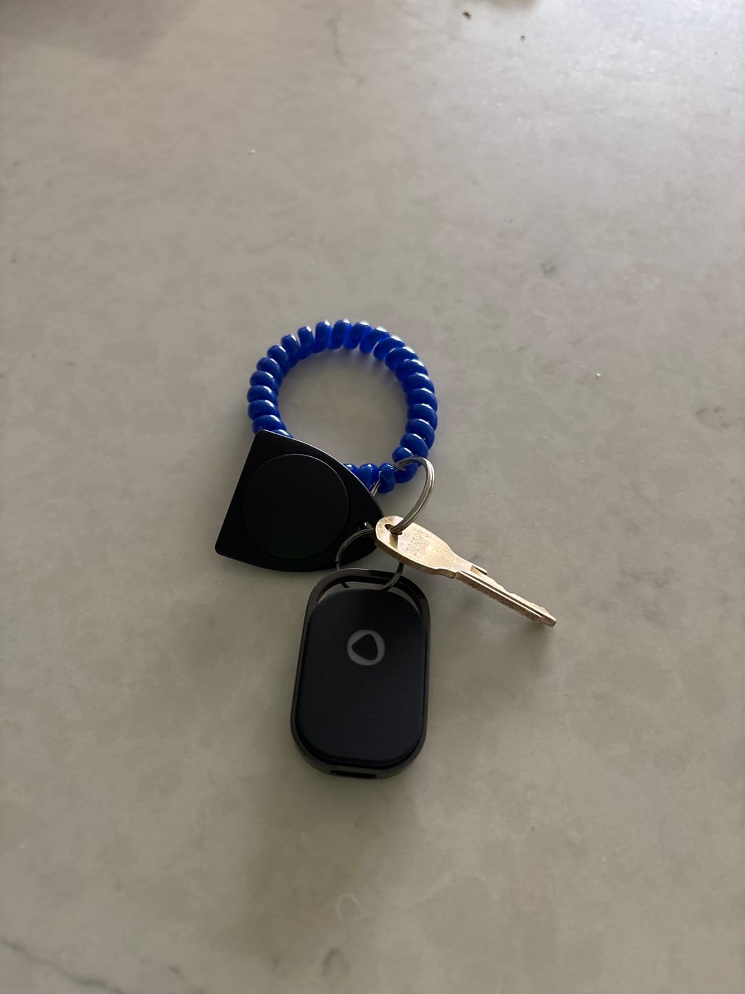 Customer photo review of Rechargeable Smart Tag