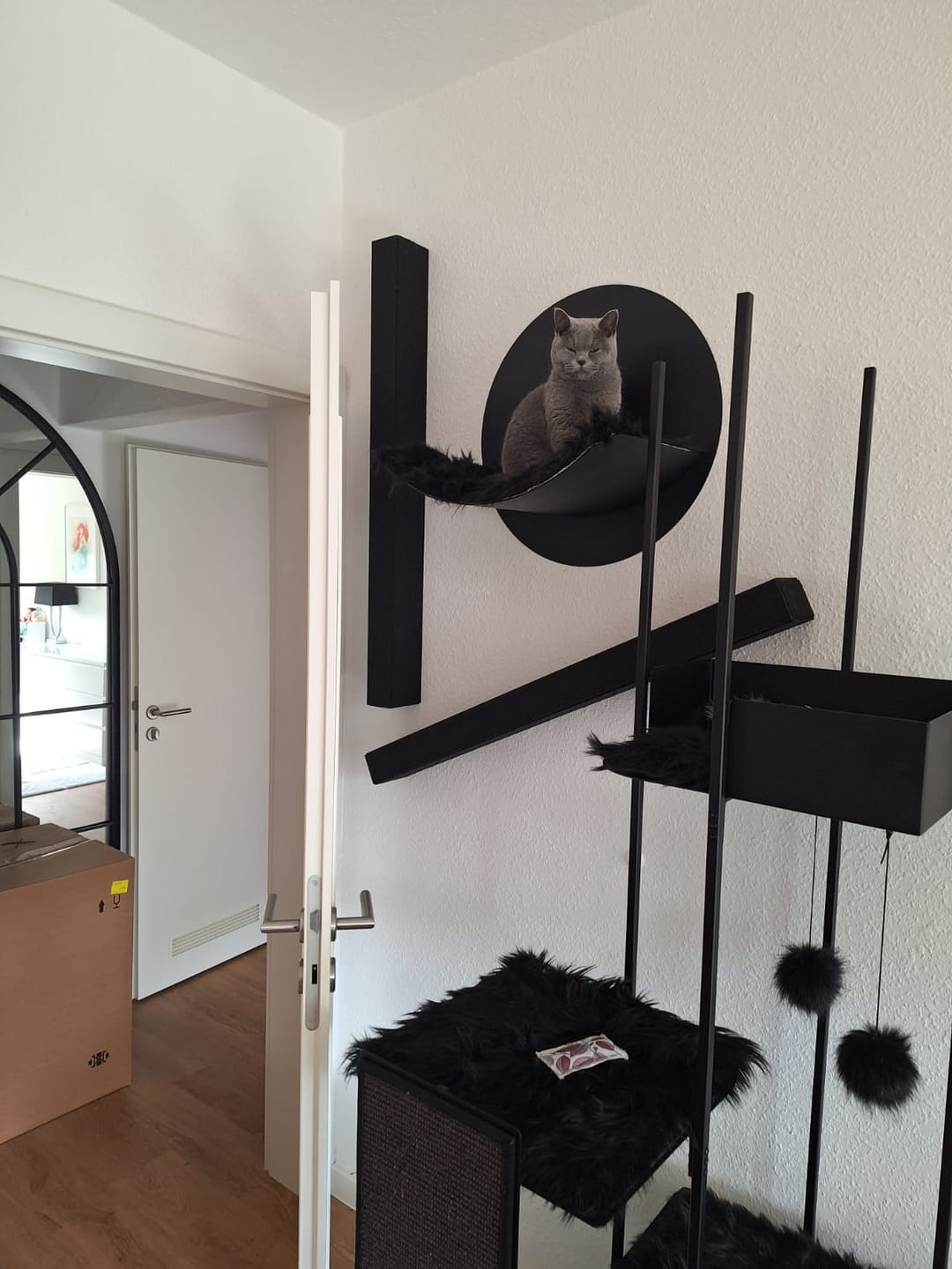 Customer photo review of STYA Katzen Kratzbaum MS310