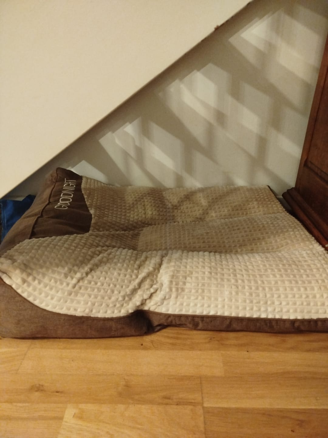 Customer photo review of Lit pour chien orthopédique
