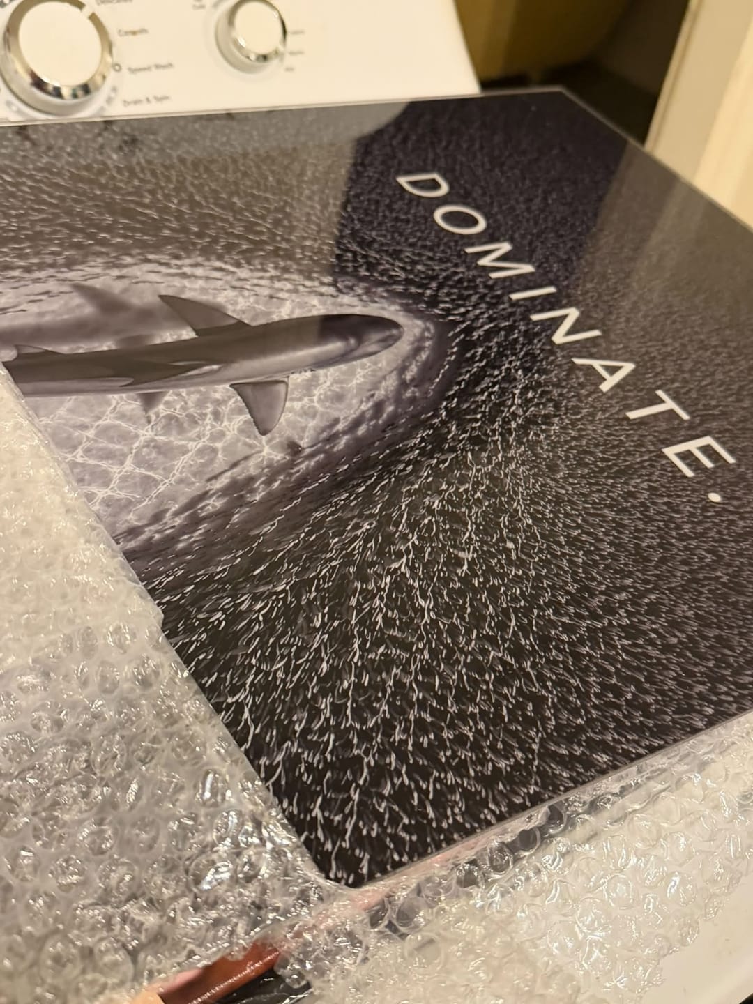 Customer photo review of Dominate.