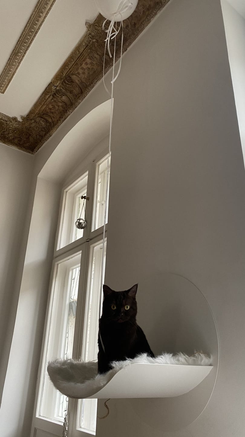 Customer photo review of STYA Katzen Kletterwand | Hängematte WL110