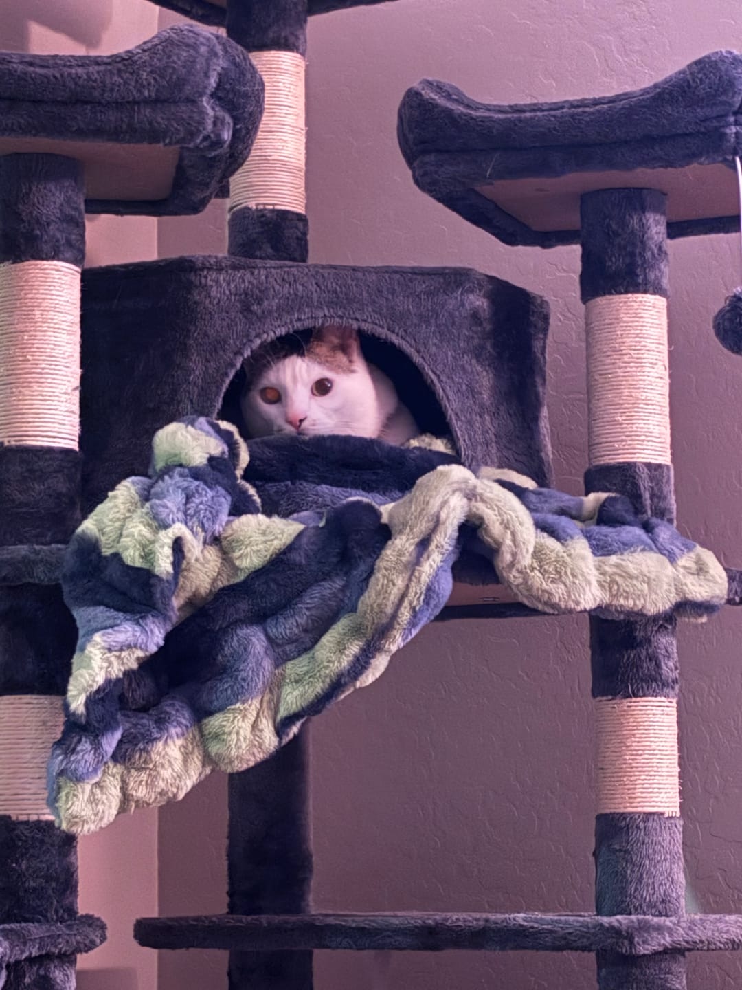 Customer photo review of Hugs Marble Sand Blanket