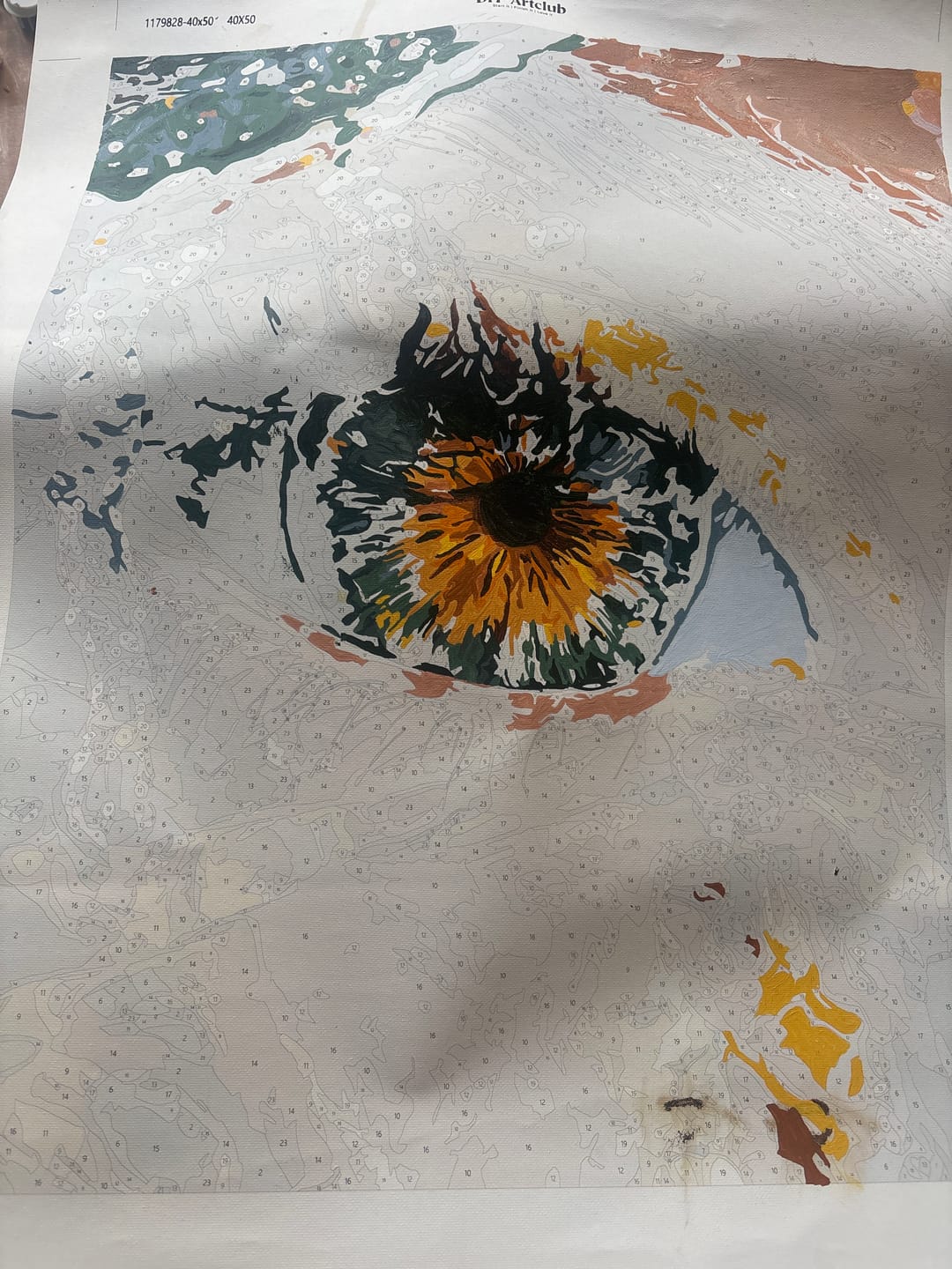 Customer photo review of Emerald Gaze | Paint by Number
